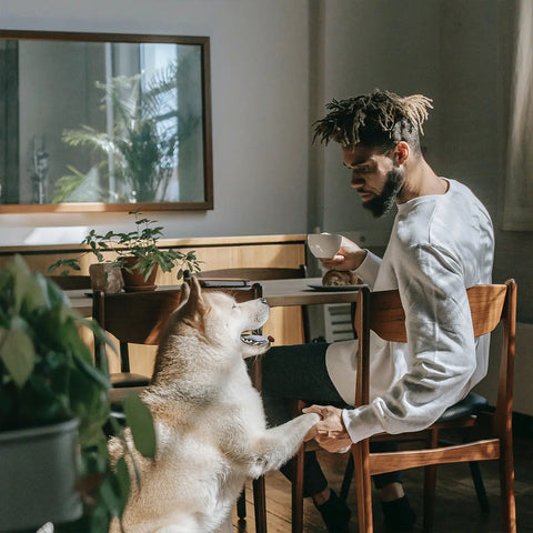 A Dog's Purpose - Big Dog Coffee Company