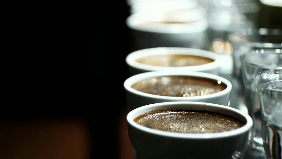 Coffee Cupping - going beyond the value chain