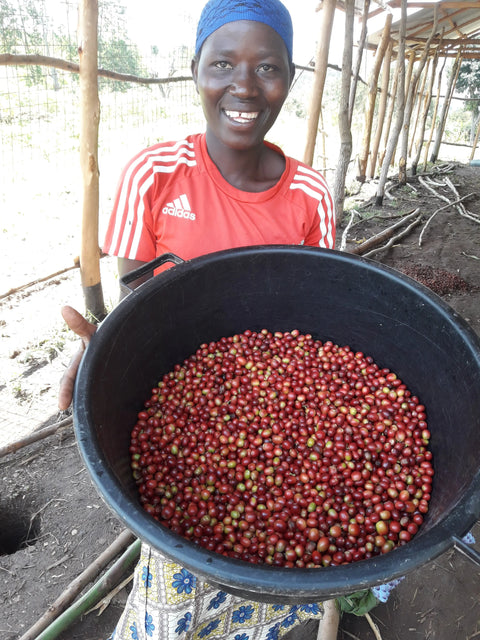 Women in Coffee - Big Dog Coffee Company