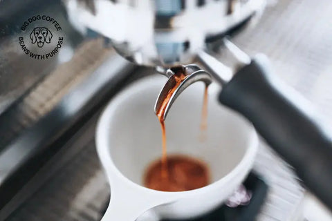 Freshly roasted coffee near me