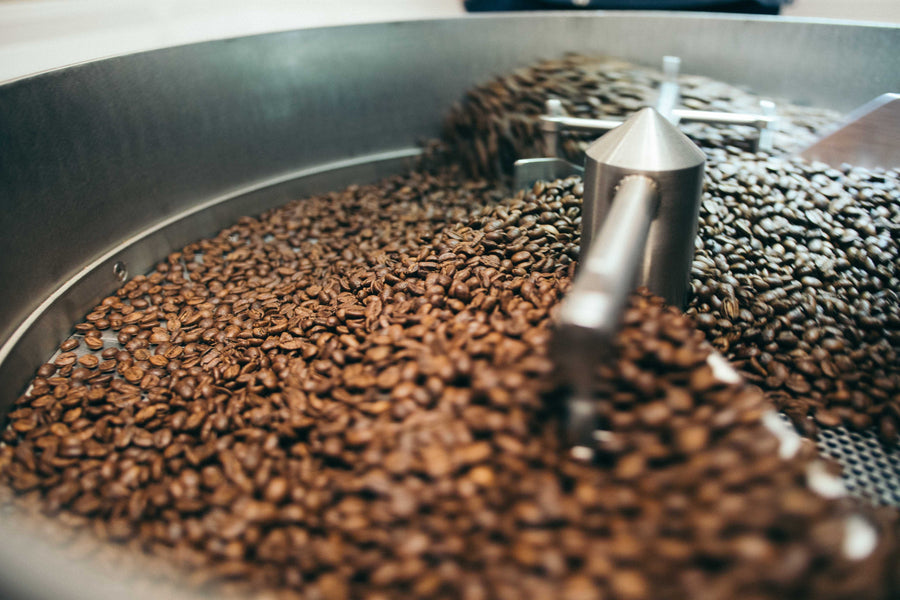 Grounds for Change: How Reusing Coffee Grounds Spurs Sustainability