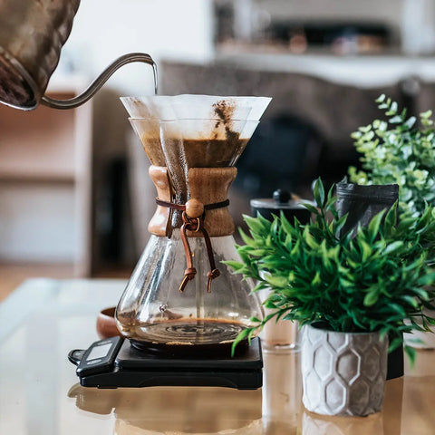 Origin Spotlight: Papua New Guinea - Big Dog Coffee Company