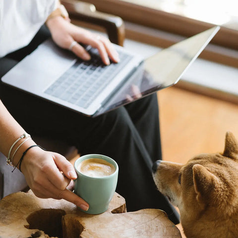 Platfform - Big Dog Coffee Company