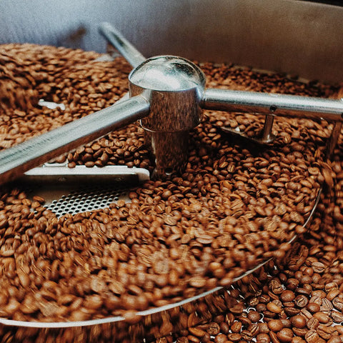 Besca for Big Dog - Big Dog Coffee Company