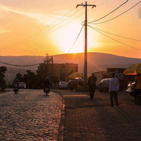 Origin Spotlight: Rwanda - Big Dog Coffee Company