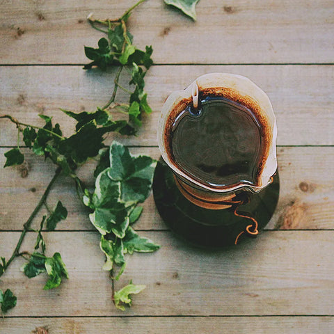 The Value in Specialty - Big Dog Coffee Company