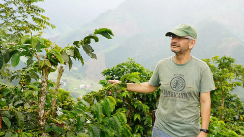 A coffee farmer in Colombia stands next to their coffee plants against a misty, hilly background.