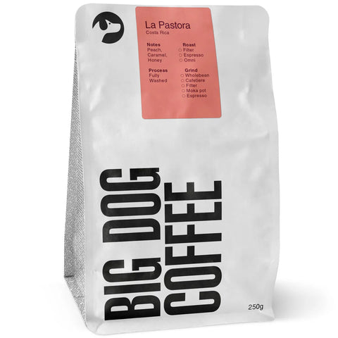 Product image of Costa Rica, La Pastora - Big Dog Coffee