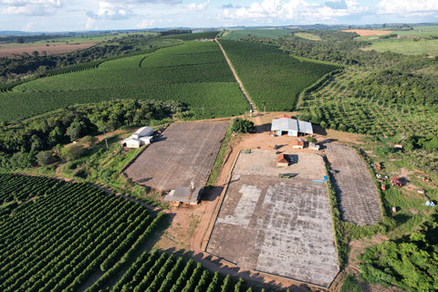 Aelin Lau - Brasil, Sao Lucas