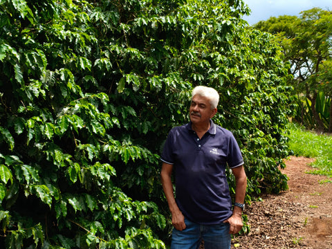 Aelin Lau - Brasil, Sao Lucas