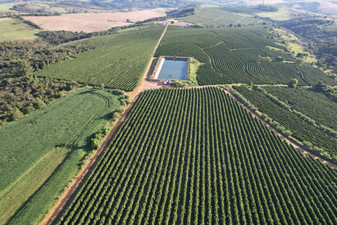 Dog House - Brazil, João Batista Dias