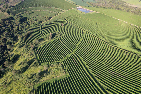 Aelin Lau - Brasil, Sao Lucas