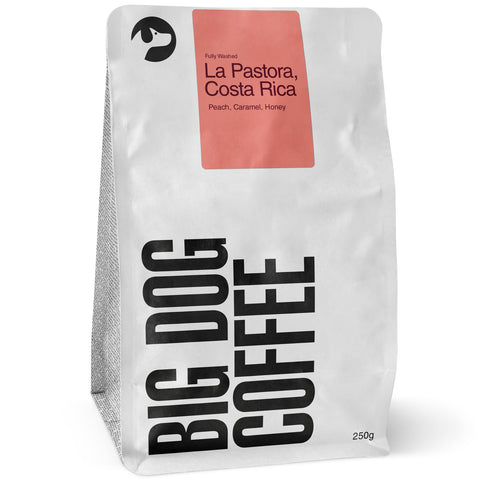 Costa Rica, La Pastora