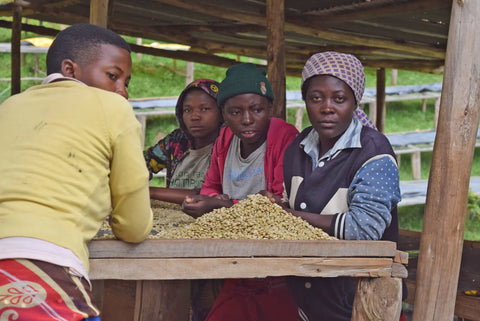 Donation - Donate A Goat, Rugori Women's Crown Program