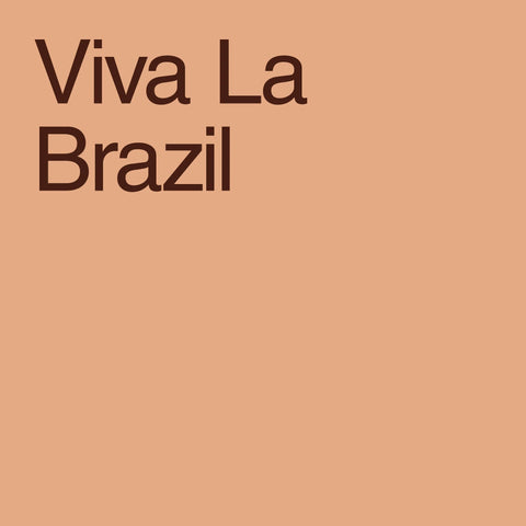 Viva La Brazil Subscription
